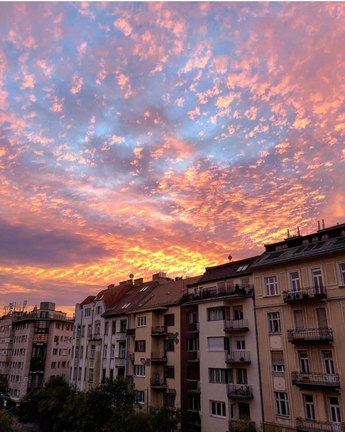 Boho Central Buda Close To Gellert Thermal Bath Apartment
